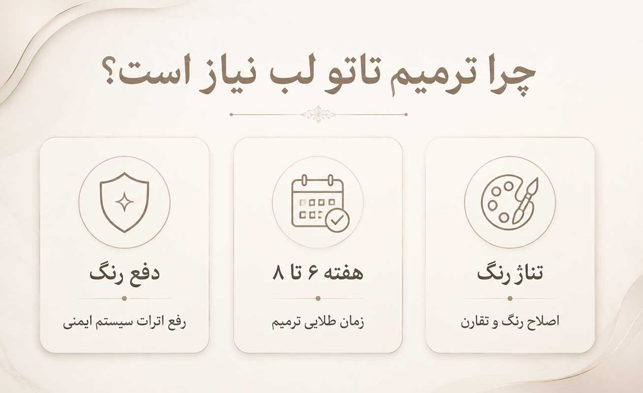 چرا به جلسه ترمیم تاتو لب (Touch-Up) نیاز داریم؟