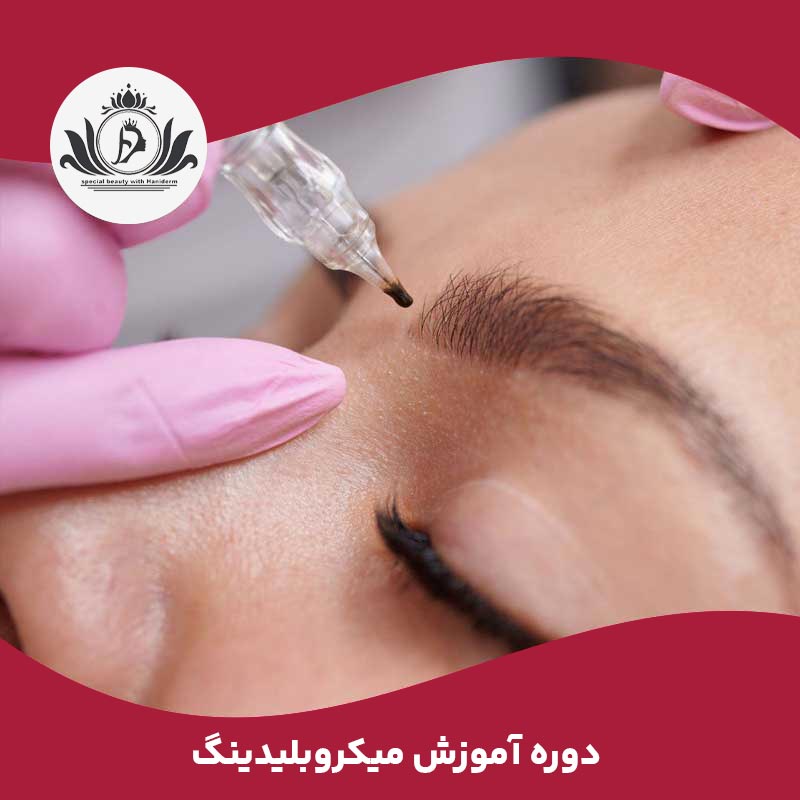 دوره آموزش میکروبلیدینگ