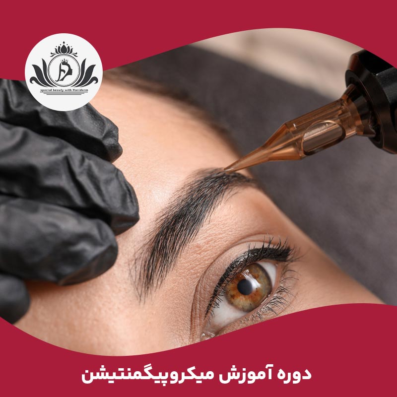 دوره آموزش میکروپیگمنتیشن