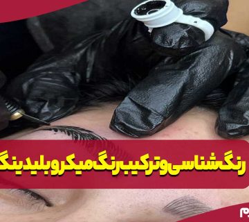 رنگ شناسی و ترکیب رنگ در میکروبلیدینگ